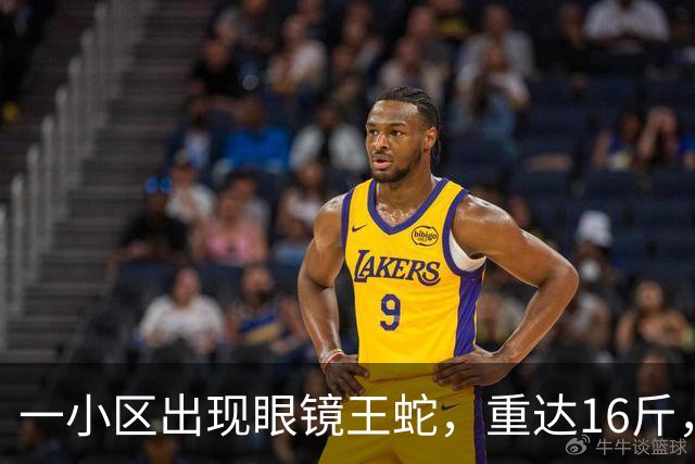 一小区出现眼镜王蛇，重达16斤，就在居民窗外游走，消防：是世界上体型最大的前沟牙毒蛇