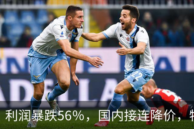 利润暴跌56％，国内接连降价，特斯拉的中国智驾何时兑现？