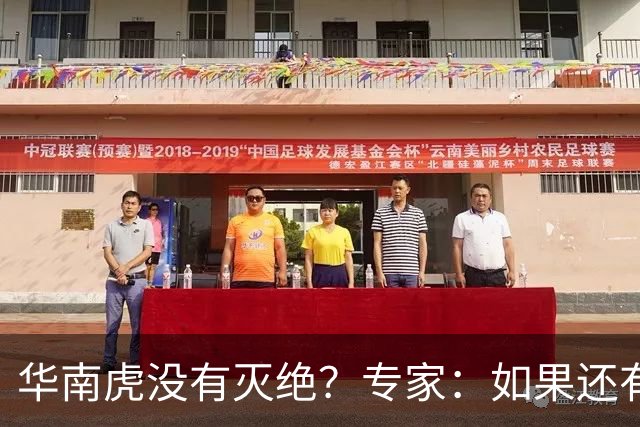 华南虎没有灭绝？专家：如果还有，最可能在山西，不在广东福建