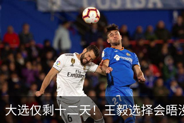 大选仅剩十二天！王毅选择会晤没实权的总统，背后布局大有讲究