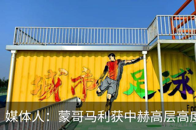 媒体人：蒙哥马利获中赫高层高度认可，或成近年执教国安最长主帅