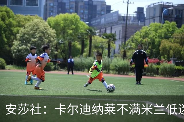 安莎社：卡尔迪纳莱不满米兰低迷，阿莫林被要求止跌
