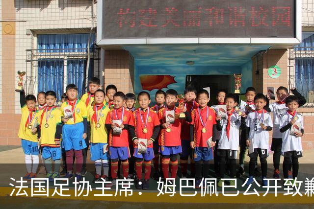 法国足协主席：姆巴佩已公开致歉，各方应放过他，毕竟那番话并非他本意，这场风波后续效应或损害法国足协与中国合作方之间的商业关系